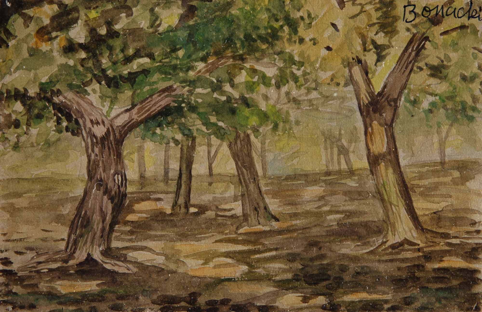Paisagem