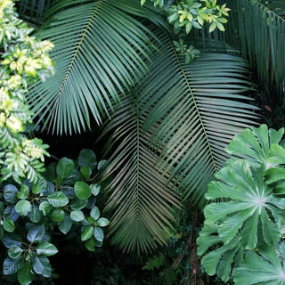Stela Araujo & Marcos Wilke - Sm - Jardim Verde 01