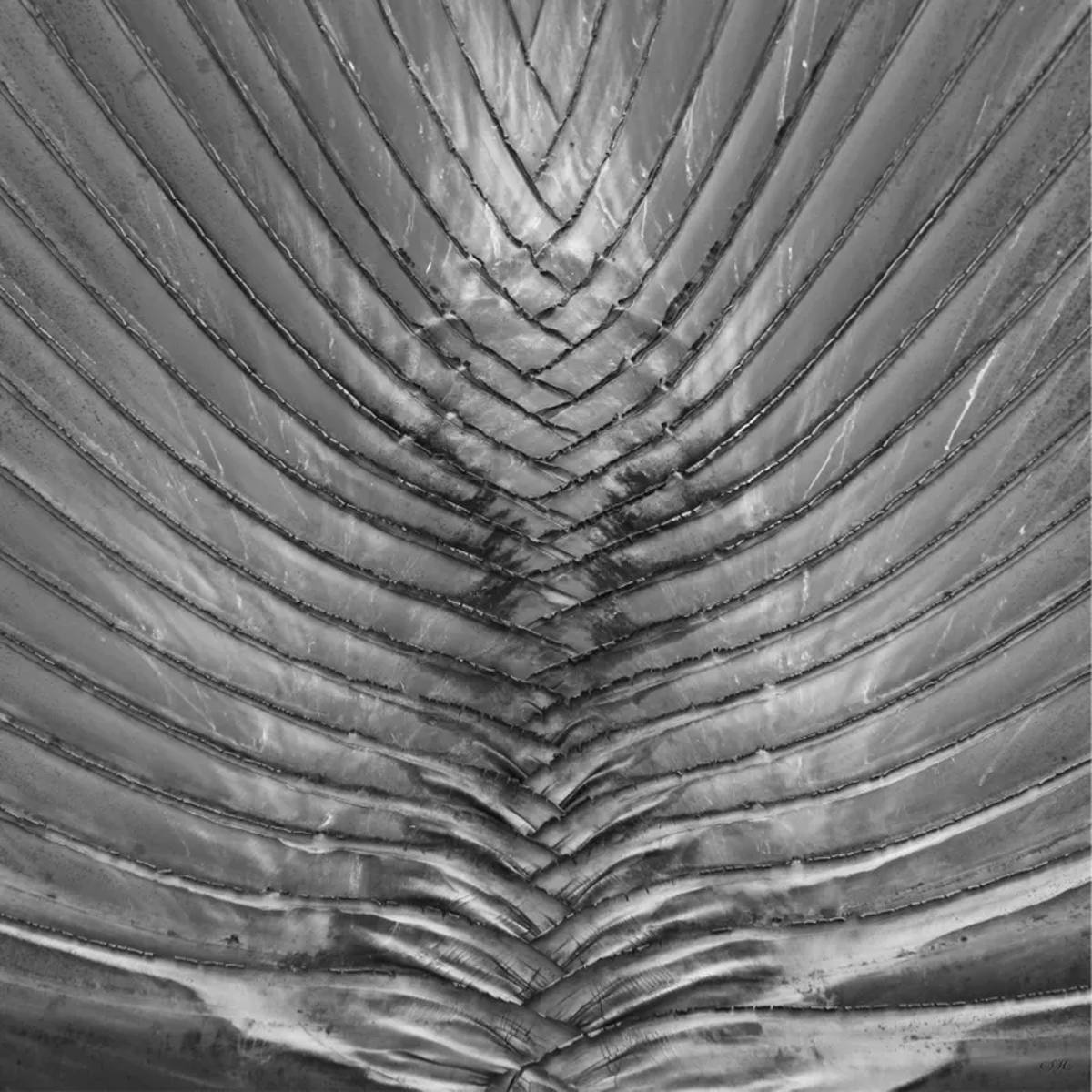 Trama 05