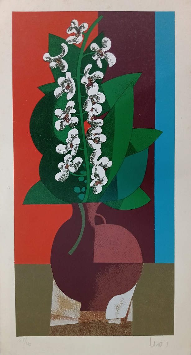 Orquídeas