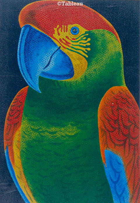 Papagaio