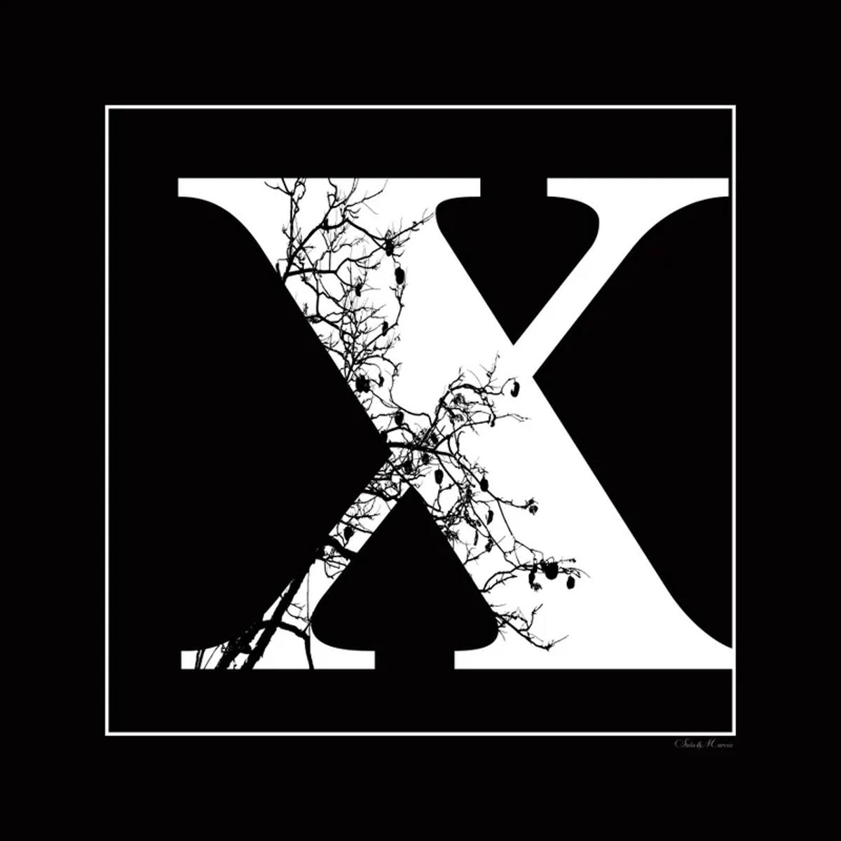 Sm - Letra X