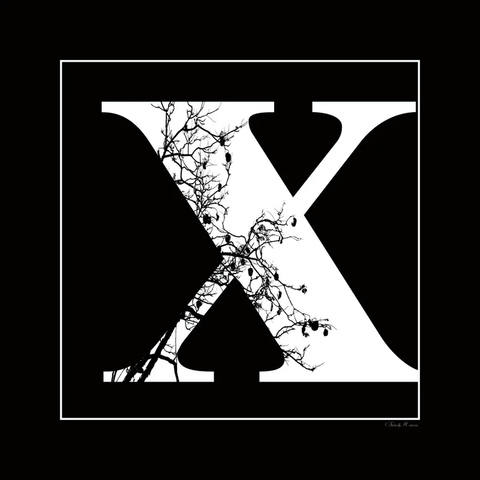 Sm - Letra X