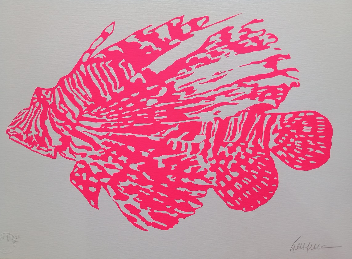 Kleber Ventura - Peixe Rosa
