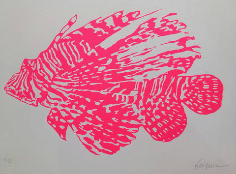 Peixe Rosa