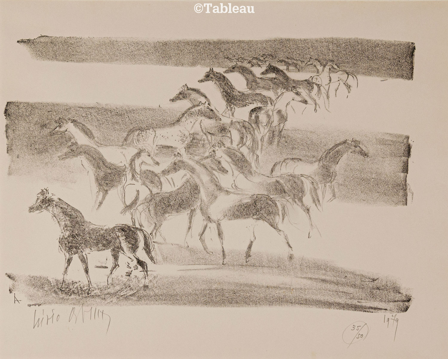 Cavalos