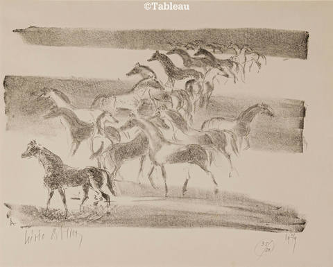 Cavalos