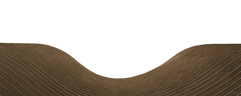 Sm - Díptico - Curvas de Niemeyer 01A