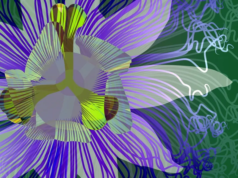 Nato Gomes - Passiflora I
