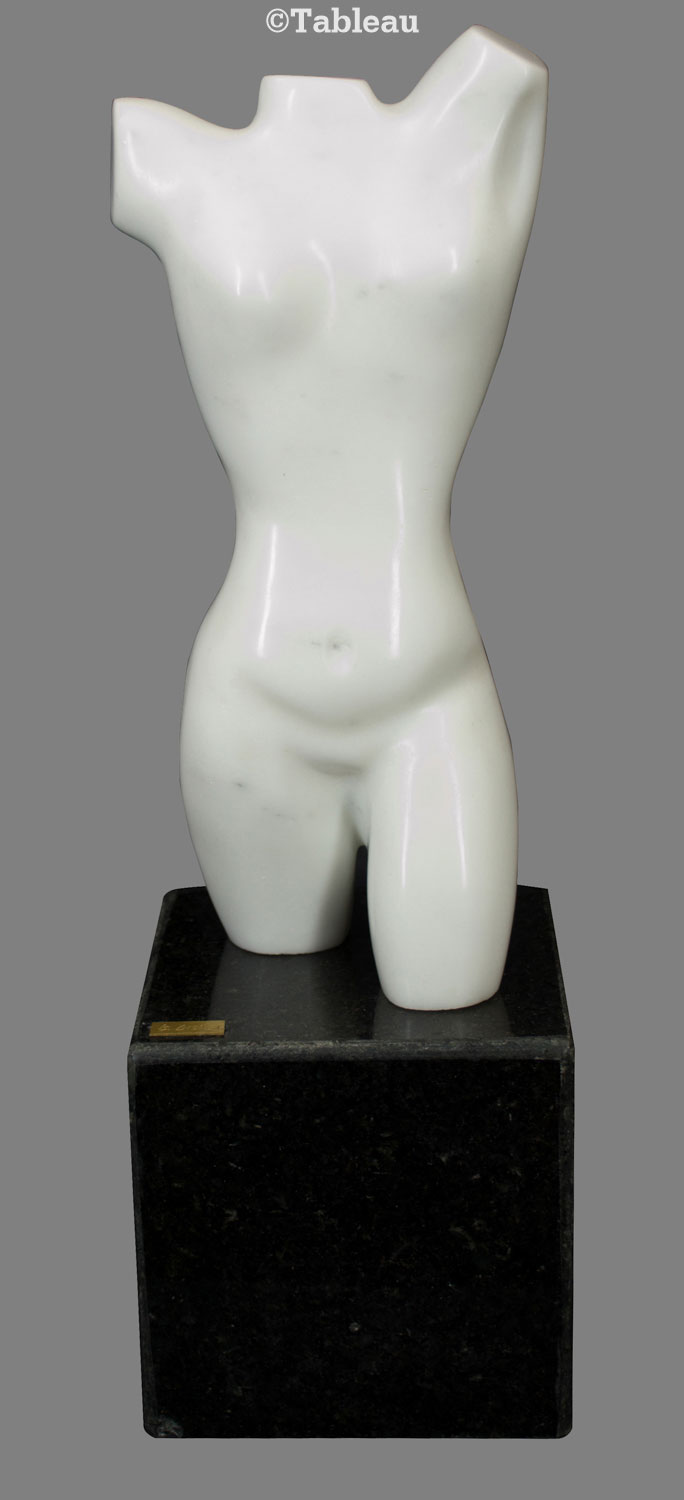 Torso
