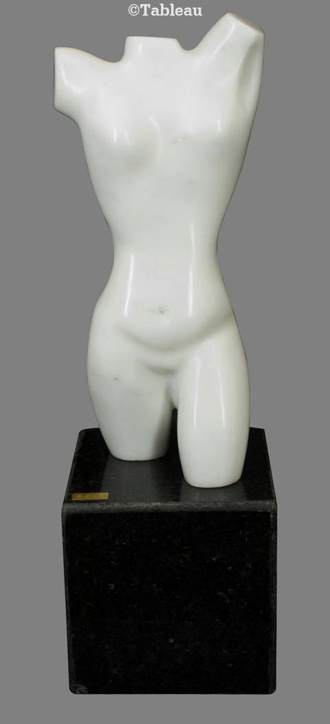 Torso