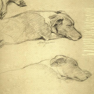 Nato Gomes - Cachorro Dormindo