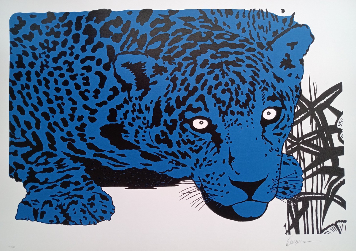 Onça Azul