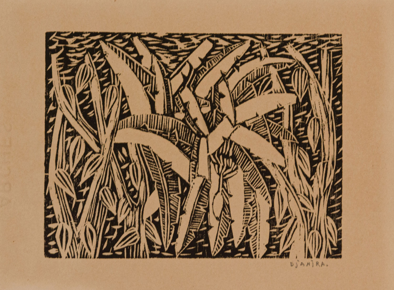 Bananeiras