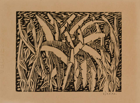 Bananeiras