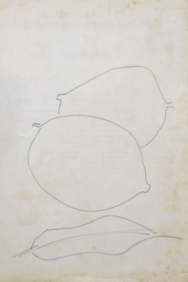 Desenhos (s/ data)