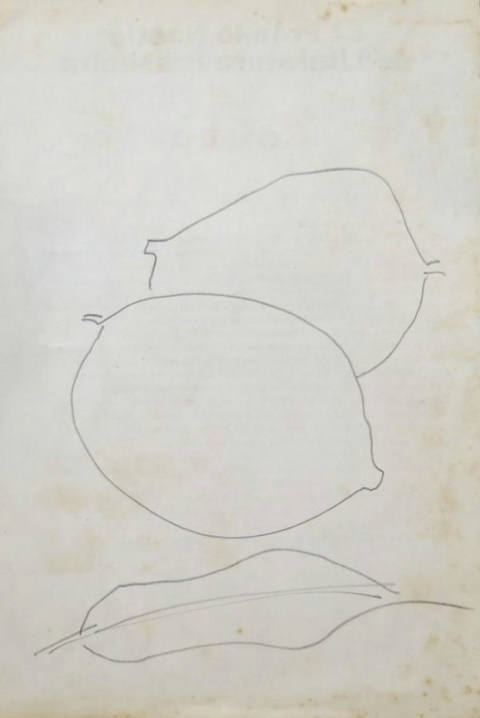 Desenhos (s/ data)