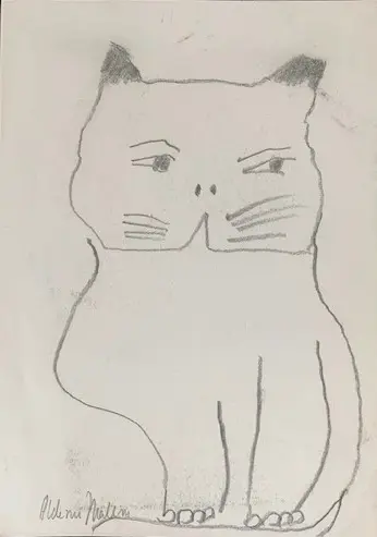 Gato (s/ data)