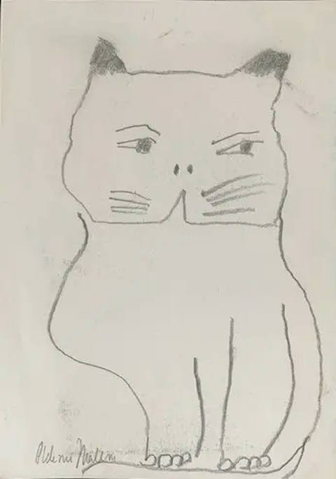 Gato (s/ data)