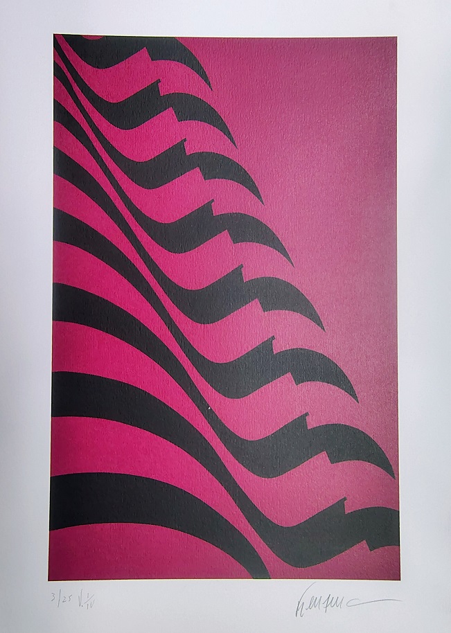 Bandeira Pink