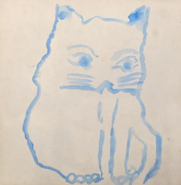 Gato
