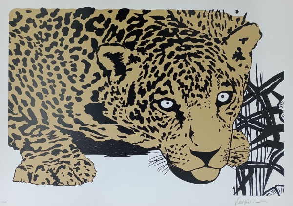 Onça Dourada