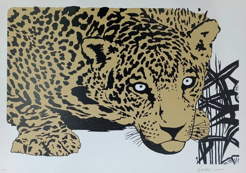 Onça Dourada
