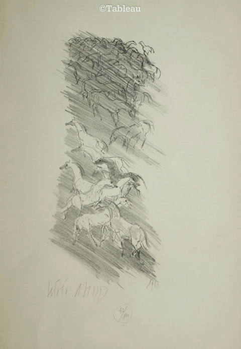 Cavalos