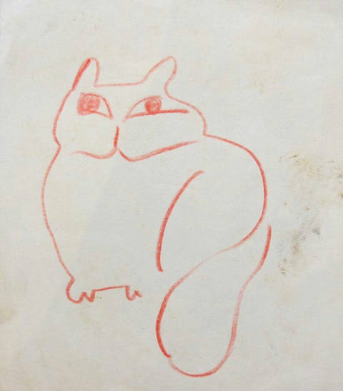 Gatos