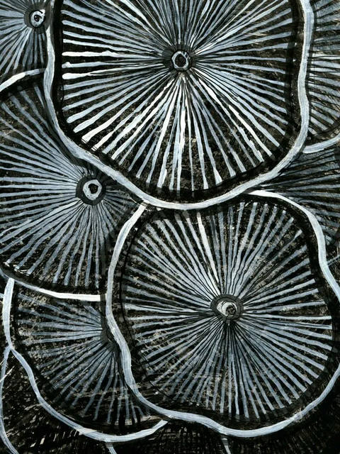 Cogumelos I