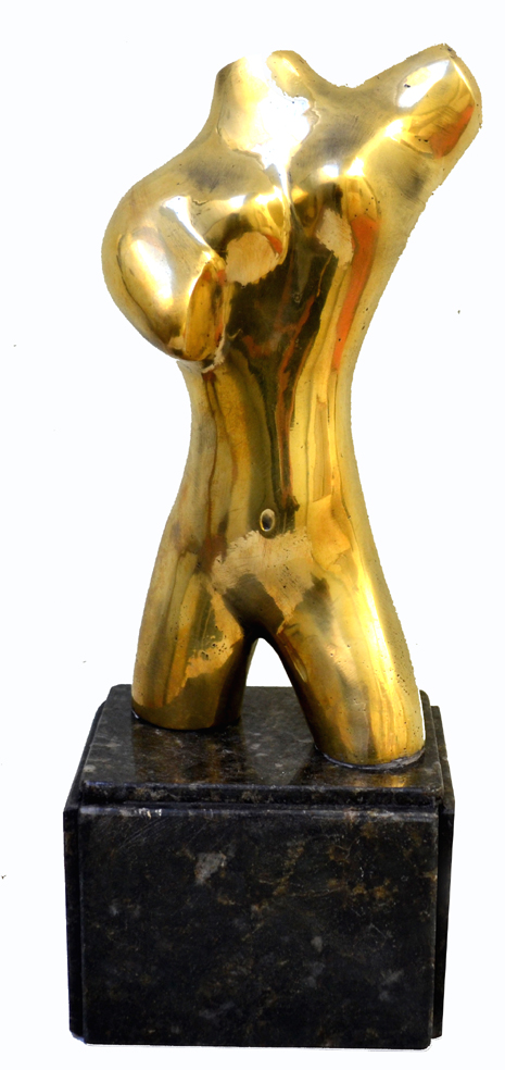 Torso