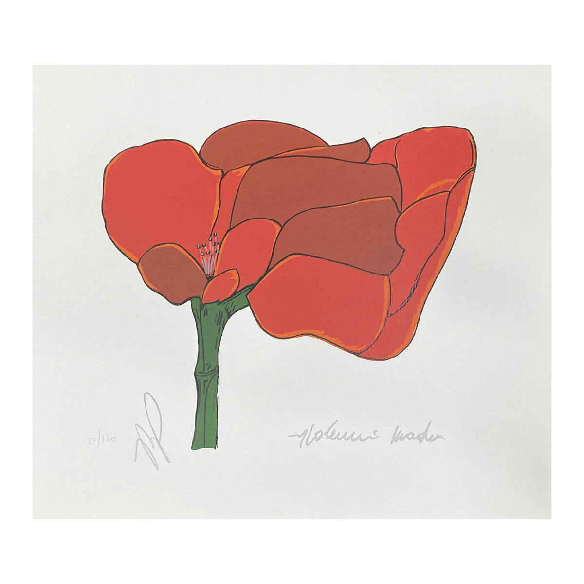 Flor