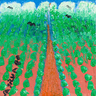 José Antônio da Silva - Plantação