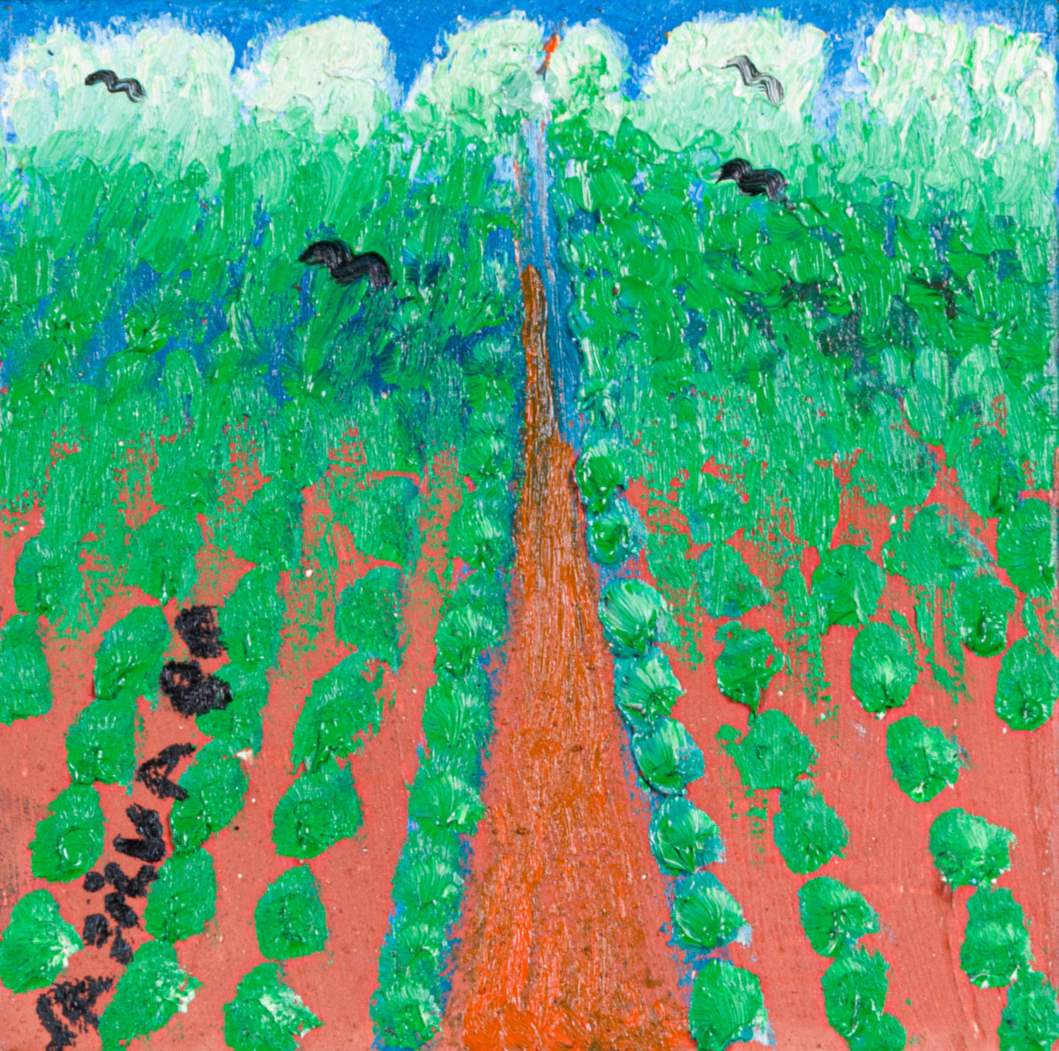 José Antônio da Silva - Plantação
