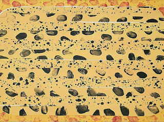 Cildo Meireles - Sem título