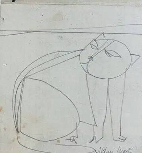 Gato