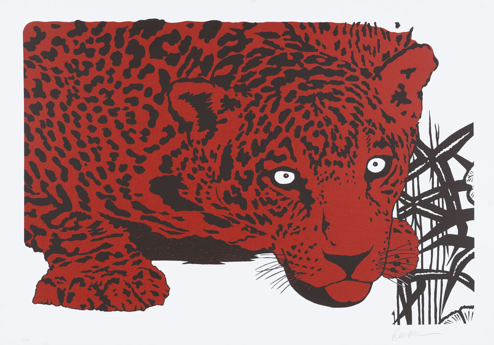 Onça