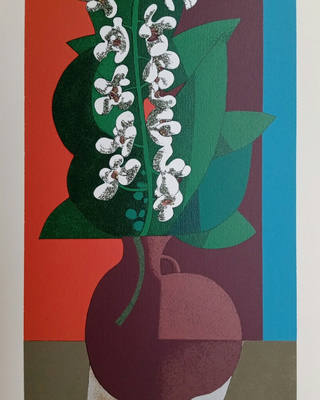 Inos Corradin - Orquídeas