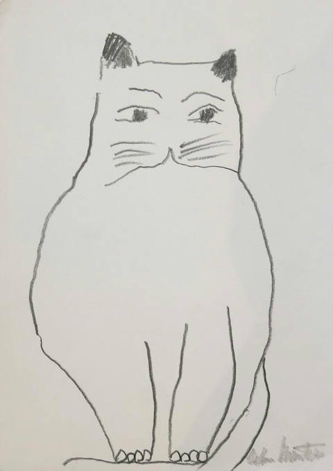 Gatos