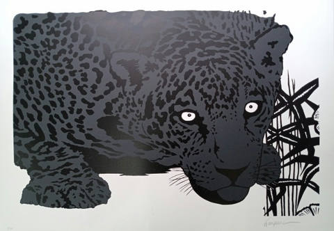 Onça pintada cinza