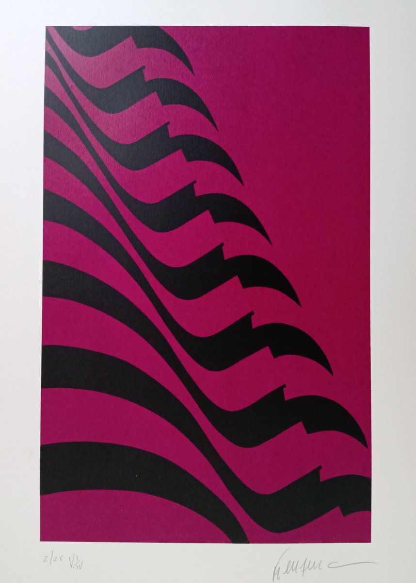 Kleber Ventura - Bandeira pink