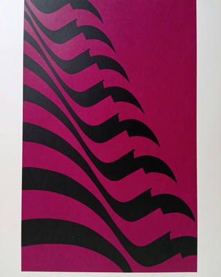 Kleber Ventura - Bandeira pink