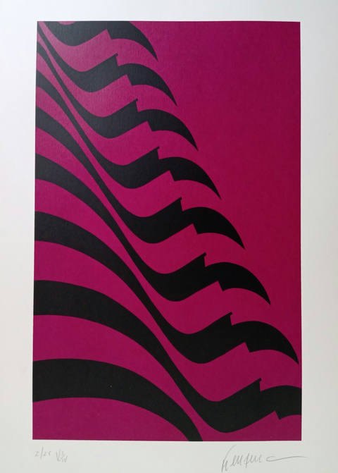 Bandeira pink