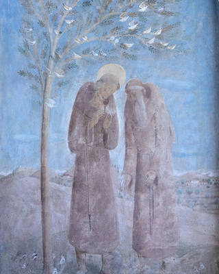 Fulvio Pennacchi - São Francisco