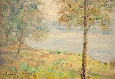 Paisagem com Rio