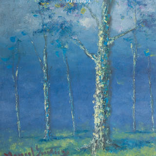 Manoel Santiago - Cascudas