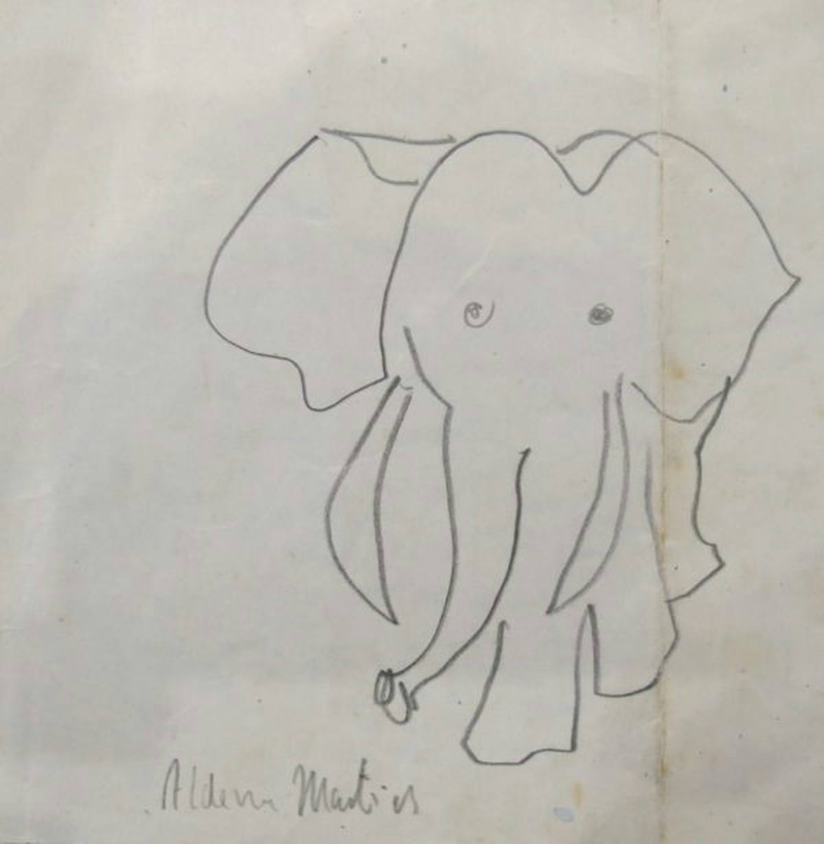 Elefante (s/ data)