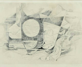 Roberto Burle Marx - Crisálida