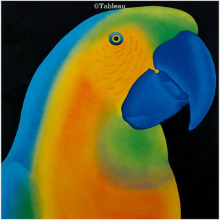 Claudio Tozzi - Papagalia