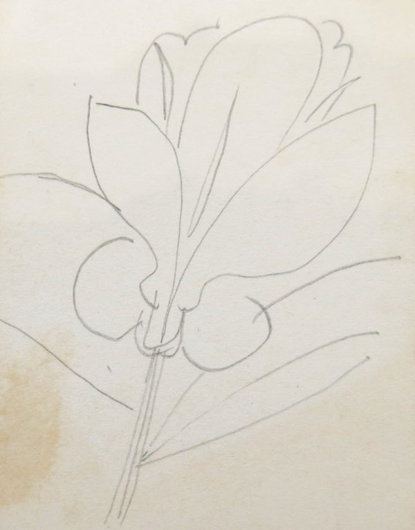 Aldemir Martins - Desenhos (s/ data)
